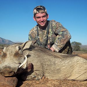 South Africa Warthog Hunt