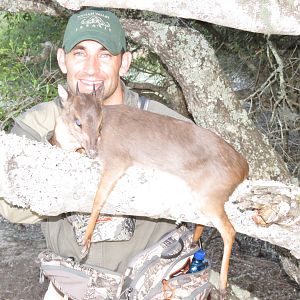 Blue Duiker Hunt