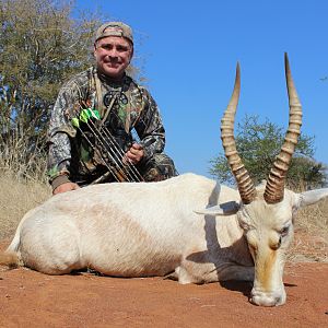 South Africa White Blesbok Bow Hunt