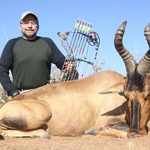 Red Hartebeest Bow Hunt South Africa