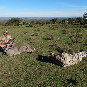 South Africa Warthog Hunt