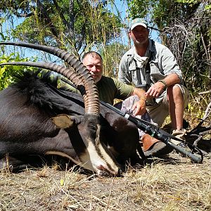 Hunt Sable Antelope in Mozambique