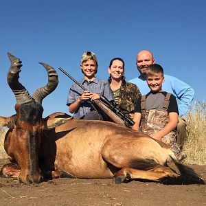 Red Hartebeest Hunt South Africa