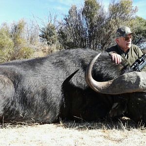South Africa 40" Inch Cape Buffalo Hunt