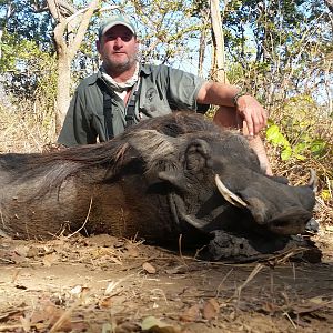 Zimbabwe Warthog Hunt