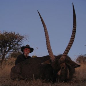 Waterbuck South Africa Hunt