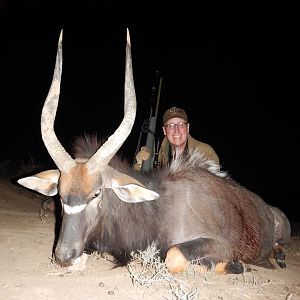 Nyala Hunt South Africa