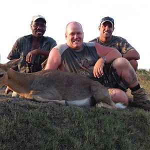 Hunting Mountain Reedbuck South Africa