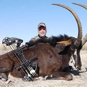 Bow Hunting Sable Antelope South Africa