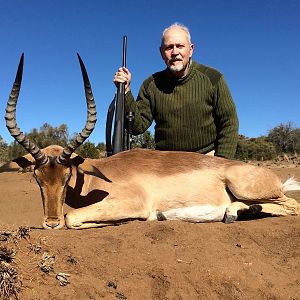 Impala, Eastern Cape South Africa July 2017