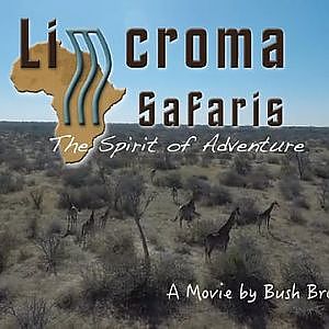 Cape buffalo, plainsgame, night critters & more with Limcroma Safaris