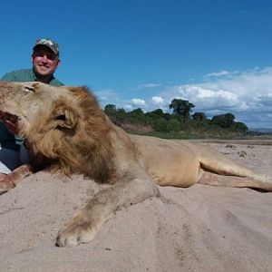 Hunting Lion in Zimbabwe
