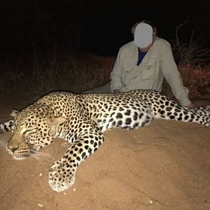 Leopard Hunt Zimbabwe