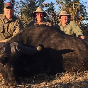 Hunting Zimbabwe Buffalo