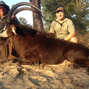 Zimbabwe Hunt Sable Antelope