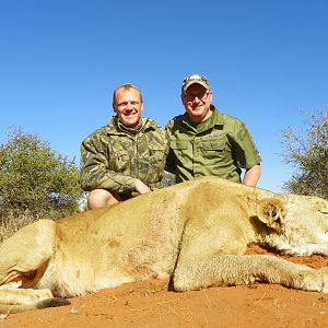 Lioness Hunt in South Africa