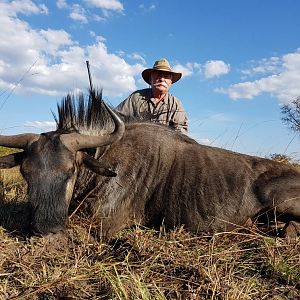 Zambia Wildebeest Hunting
