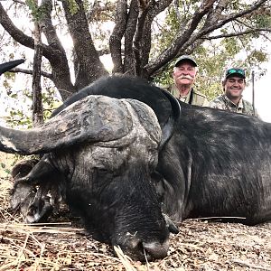 Hunting Cape Buffalo in Zambia