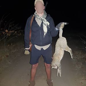 African Wildcat Matetsi Zimbabwe Hunt