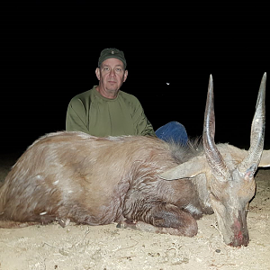 Bushbuck  Hunting South Africa