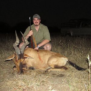 Red Hartebeest Nambia Hunt