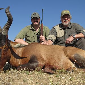 Red Hartebeest Nambia Hunt