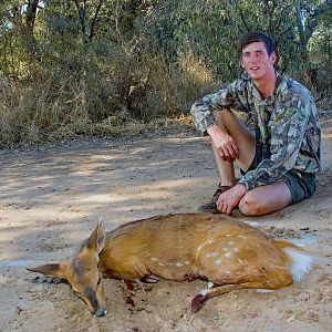 Female Bushbuck Hunting South Africa