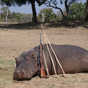 Zimbabwe Hippo Hunt