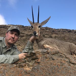 Grey Rhebok Hunting