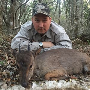 Blue Duiker Hunt South Africa