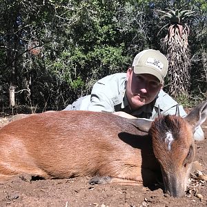 Hunting South Africa Red Duiker
