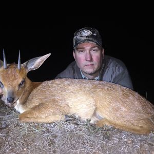 Hunt South Africa Cape Grysbok