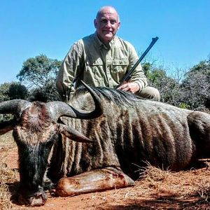 South Africa Blue Wildebeest Hunting