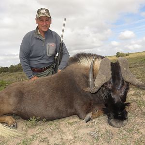 Hunt Black Wildebeest South Africa