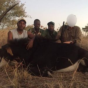 Hunt Sable Antelope in Matetsi Zimbabwe