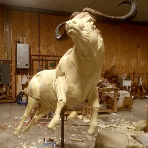 Behind The Scenes Lion & Cape Buffalo Full Mount Taxidermy