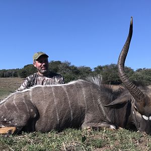 Nyala Hunt South Africa