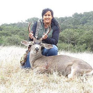 Hunting California Coastal Blacktail Deer