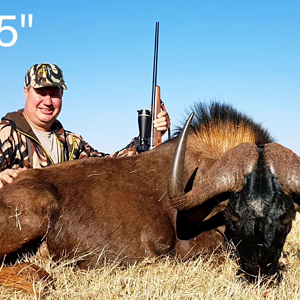 Hunt 28.5" Inch Black Wildebeest South Africa