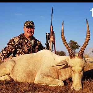 South Africa 16" Inch White Blesbok Hunt