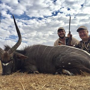 27" Inch Nyala Hunt South Africa