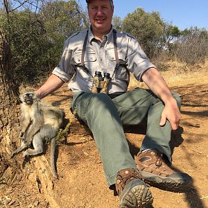 South Africa Vervet Monkey Hunt