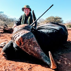 South AfricaCape Buffalo Hunt