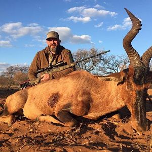 Red Hartebeest Hunt South Africa