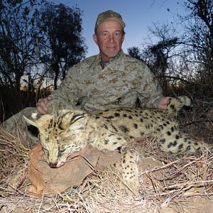 Serval Cat Hunting in South Africa