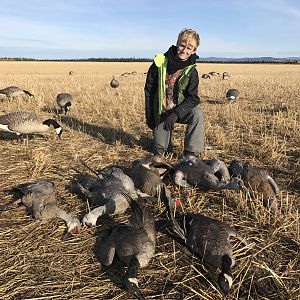 Hunting Sandhill Cranes & Geese