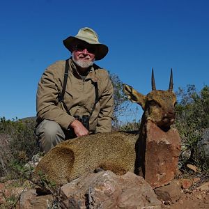 Klipspringer South Africa Hunt