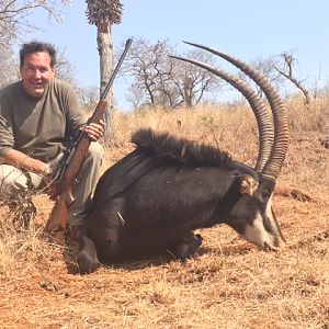 Sable Hunting in South Africa