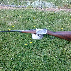 I beautiful piece of walnut I restocked a Martini 303 Sporting rifle with