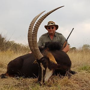 Hunt South Africa Sable Antelope